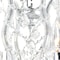 Cwi Lighting Maria Theresa 13 Light Up Chandelier With Chrome Finish 8311P30C-13 (Clear) - alternate 4